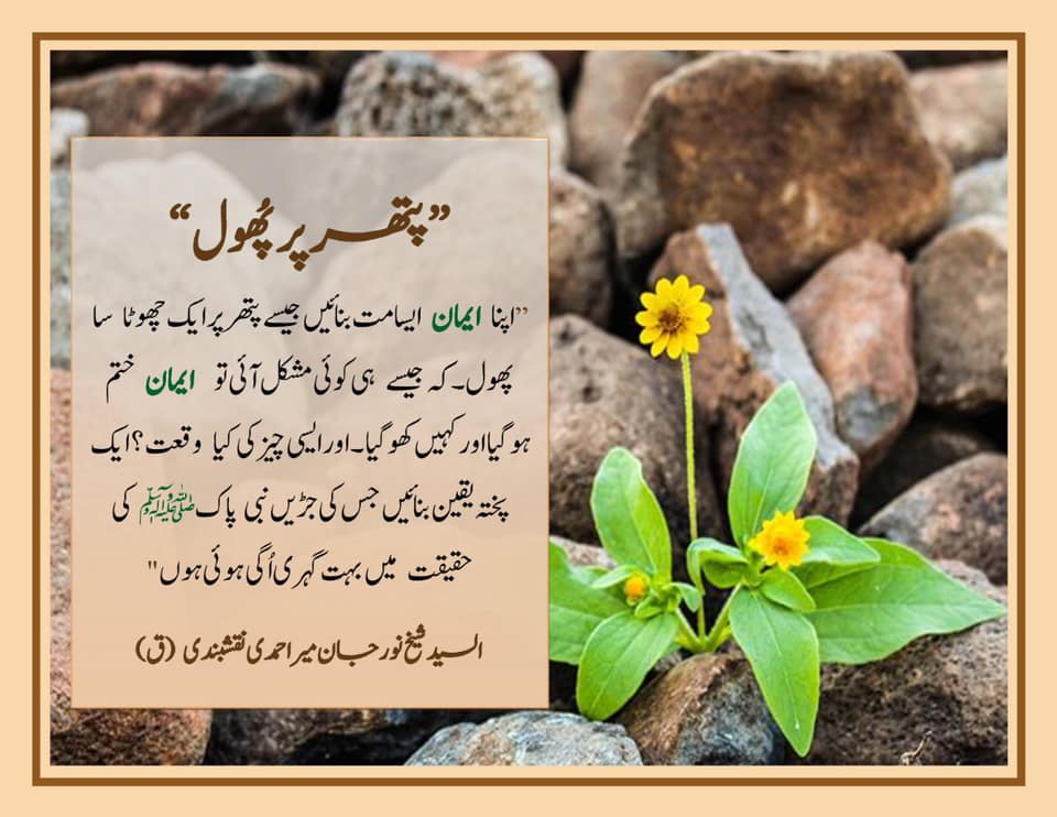 شیخ نور جان میر احمدی نقشبندی (ق) کے 22 نومبر، 2019 کے خطاب سے اقتباس۔
بِسْمِ ا...