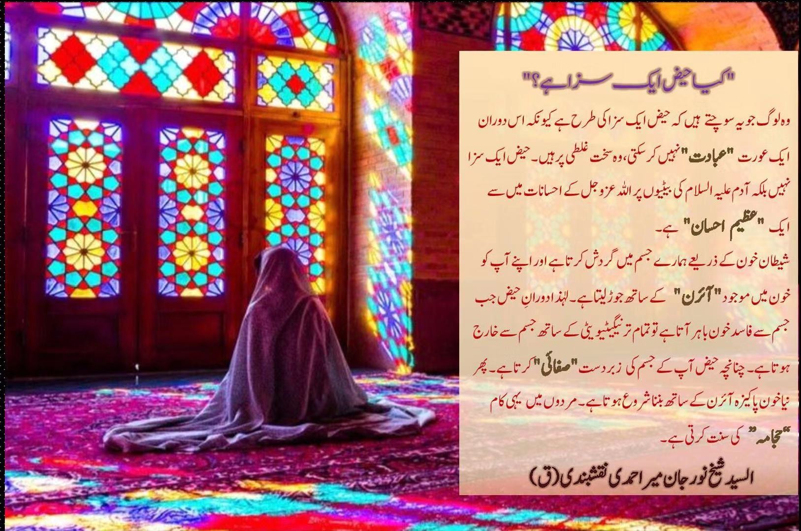 شیخ السیّد نورجان میراحمدی نقشبندی (ق) کی سنہری تعلیمات سے اقتباس
بِسْمِ اللَّـ...
