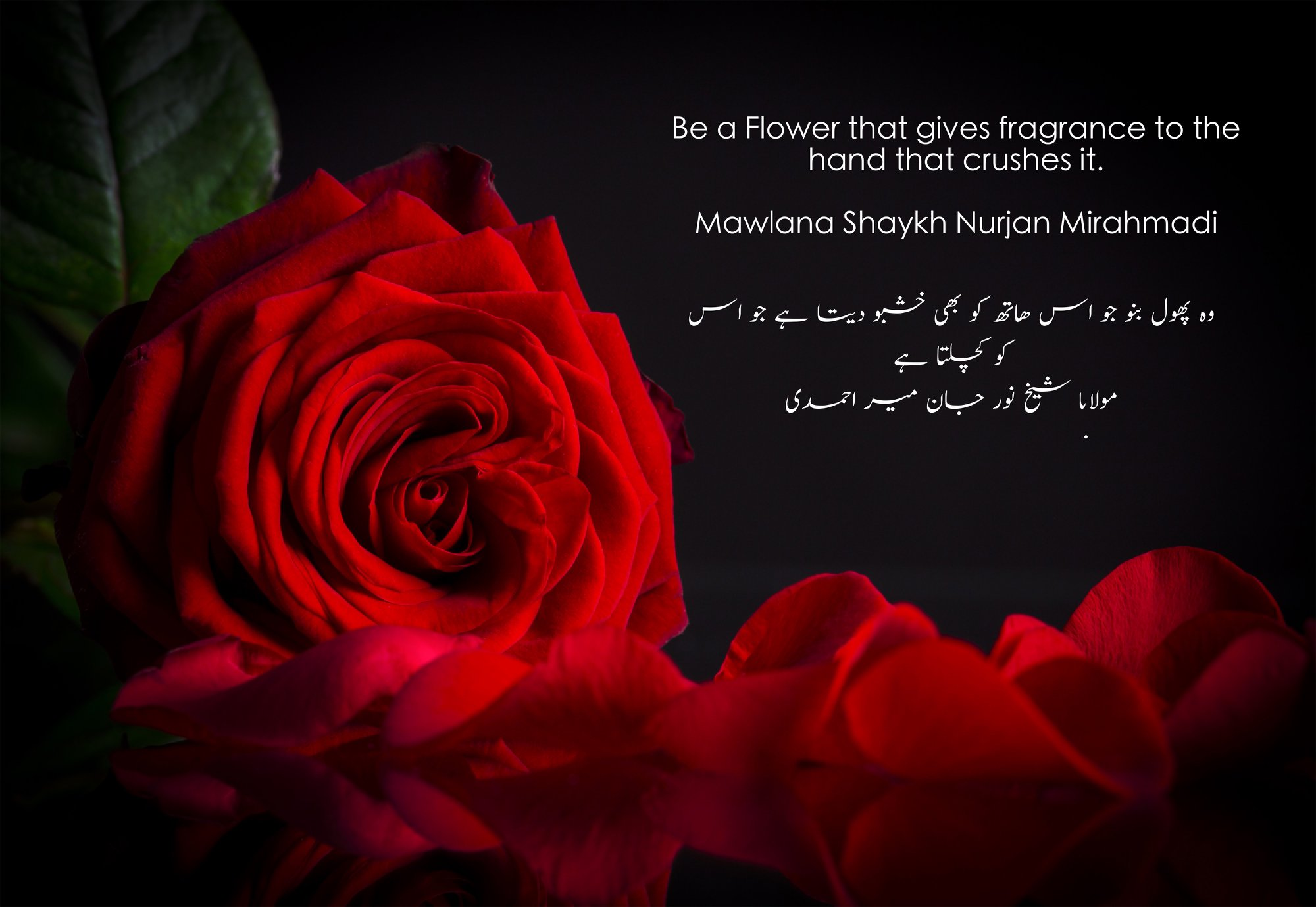 Urdu Nur Muhammad Realities Biography Islam Allah Haqiqat Al Muhammadia Urdu Nur Muhammad Realities Biography Islam Allah Haqiqat Al Muhammadia