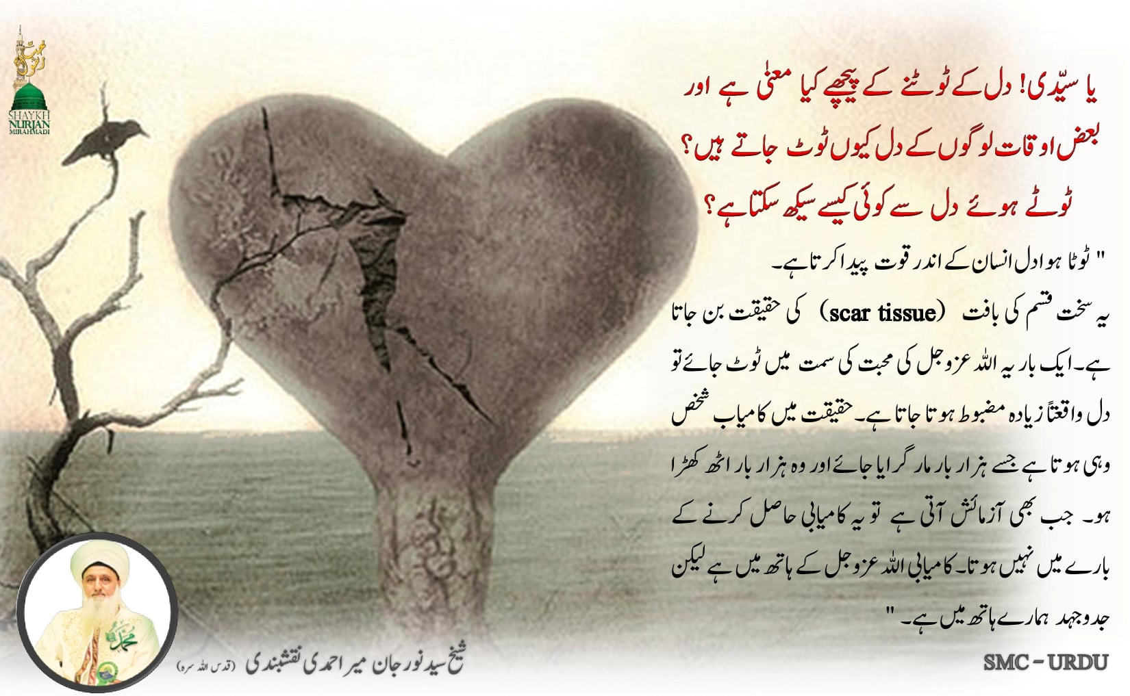 سیدنا امام محمد مہدی علیہ السلام کی طاقتور ترین اینرجی کی ڈھال - سوالات و جوابات...