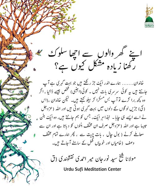 سوالات و جوابات - بہشتی حقائق کے لیے اپنا مراقبہ کریں، سراجاً منیراً کی حقیقت کی...