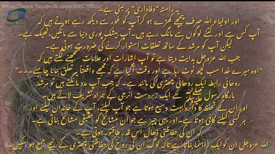شیخ سید نورجان میراحمدی نقشبندی (ق) کی سنہری تعلیمات سے اقتباس-
بِسْمِ اللَّـهِ...