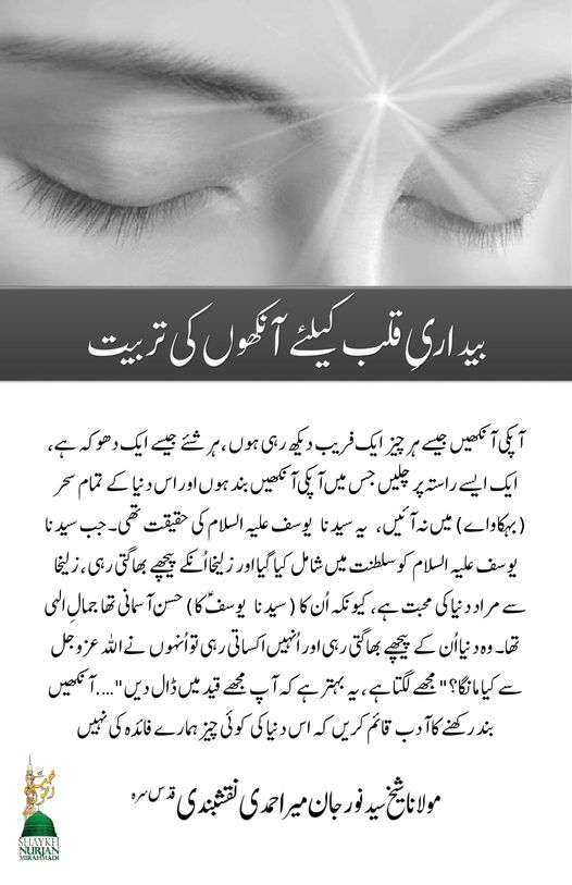خاموش رہیں اور اپنے تمام حواس پر قابو رکھیں — حصہ سوئم
|Khamosh Rahai Aur Apne T...