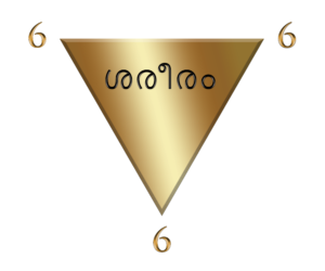 Downward-triangle_6-on-points-Body-Malayalam