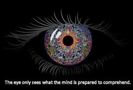 Eye Only Sees What the Mind is Prepared to Comprehend