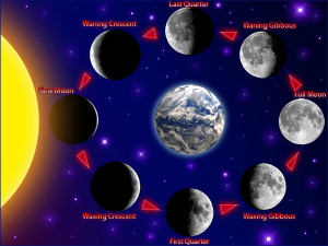 Phases of moon in relation to Sun