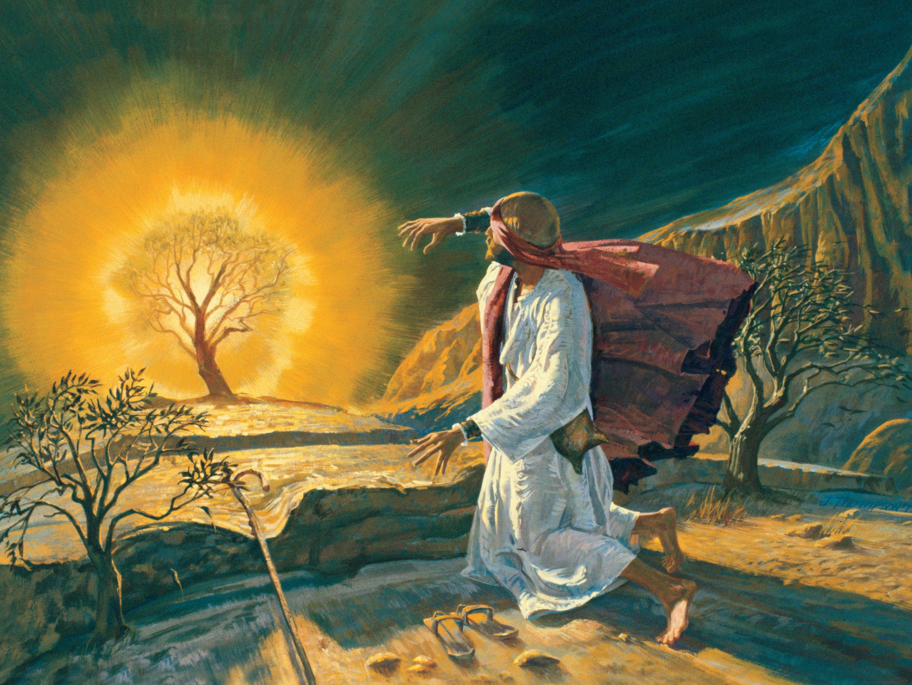Prophet Moses Musa (as) Burning Bush