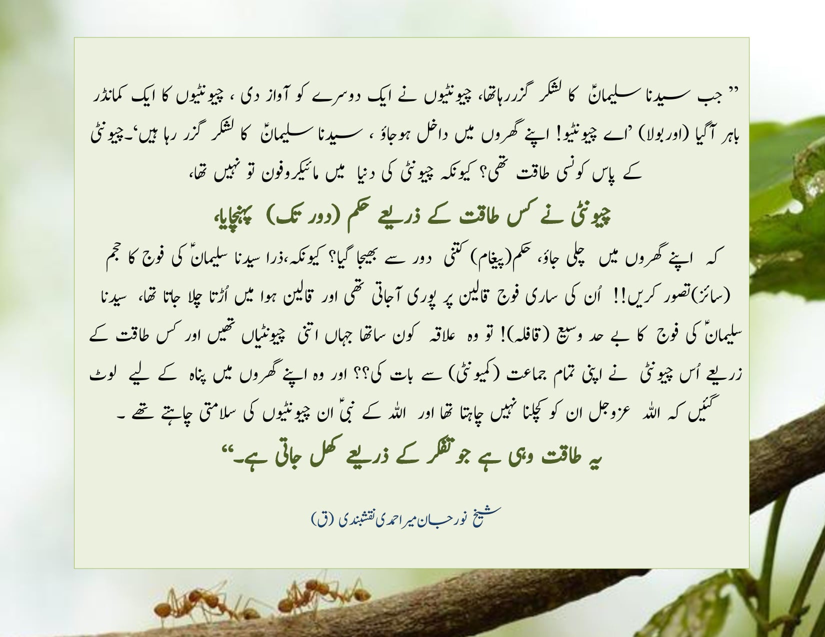 Heart vs head
Superpower in Ants
...."
وہ پوچھتے ہیں کہ چیونٹی اتنی اہم...