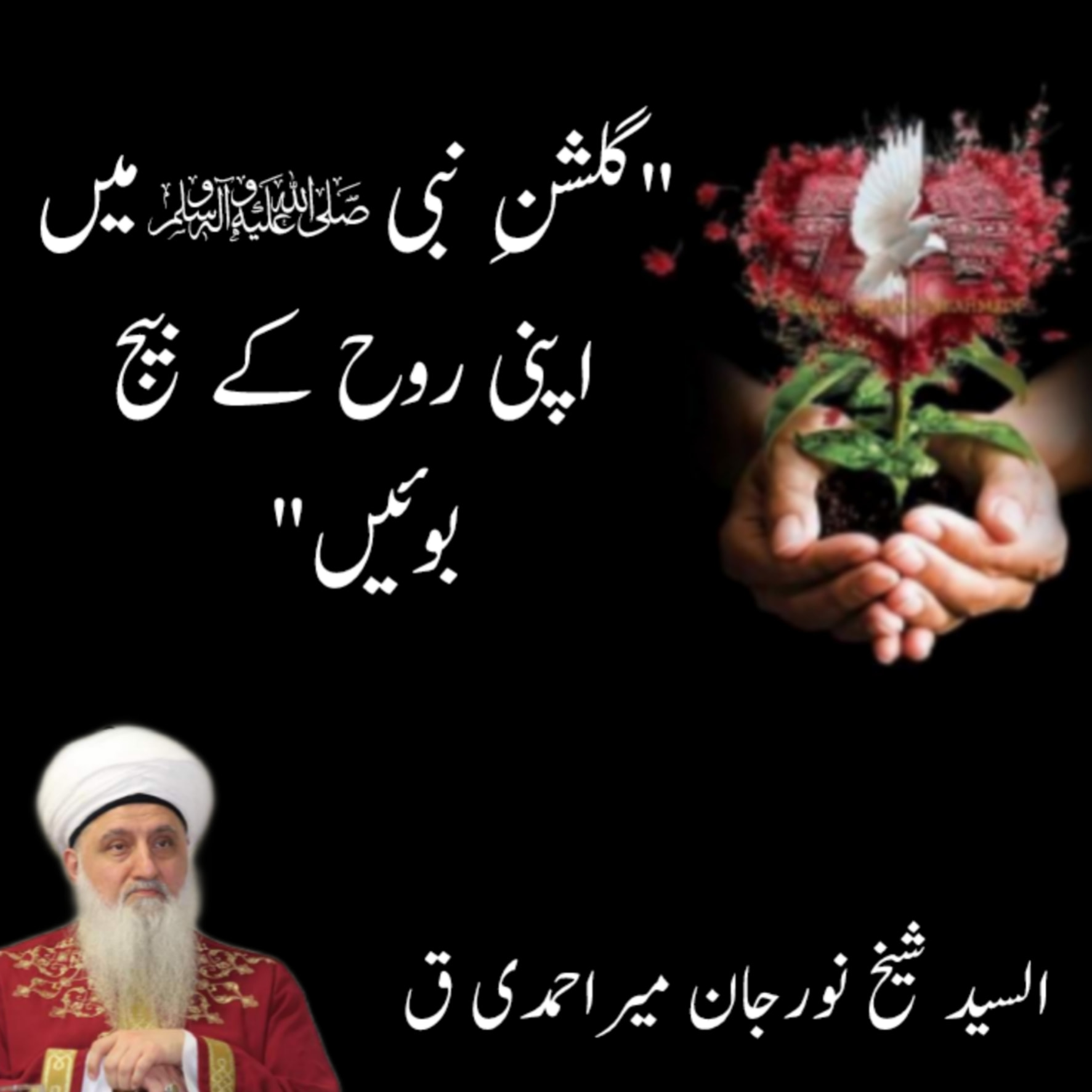 "Plant the seed of your soul in the Garden of Prophet ﷺ"
As Sayyed Shaykh Nur...
