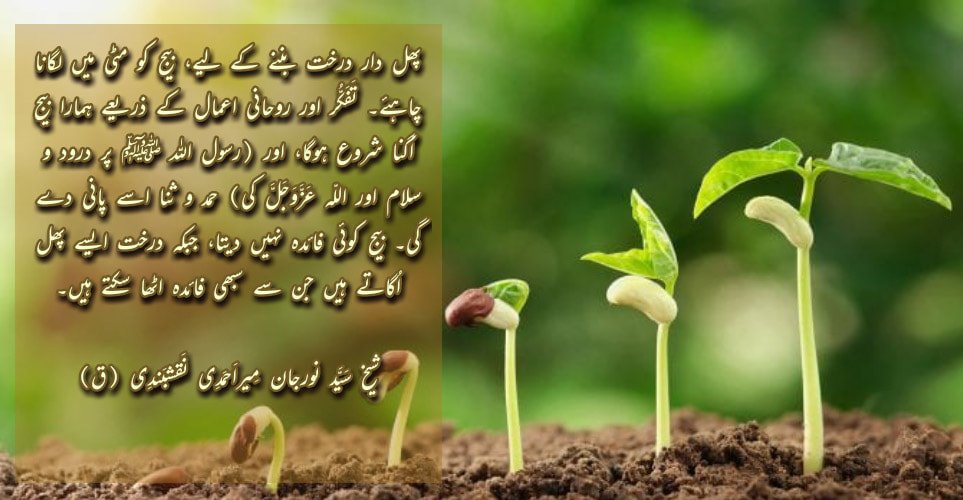 ShaykhTalk # 4- Don’t Be A Seed, Plant Yourself And Grow!
 بِسْمِ اللَّـهِ الرَّ...