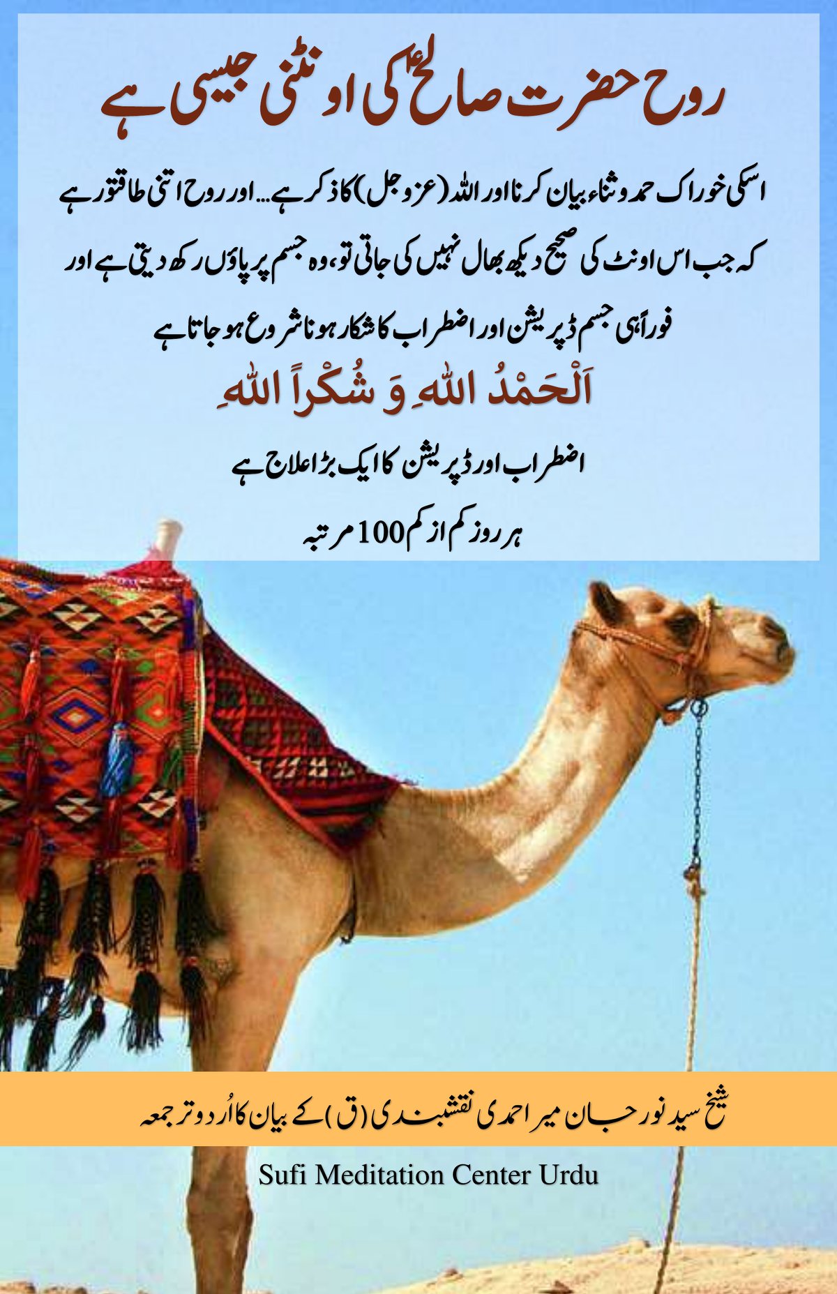 Soul is like the She-Camel of Prophet Saleh [AS], nourish it with energy of Zikr...
