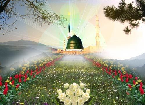 Tafsir Quran 72:16 Keep Your Tariqat—Stay Firm on your Spiritual Path طريقة ...