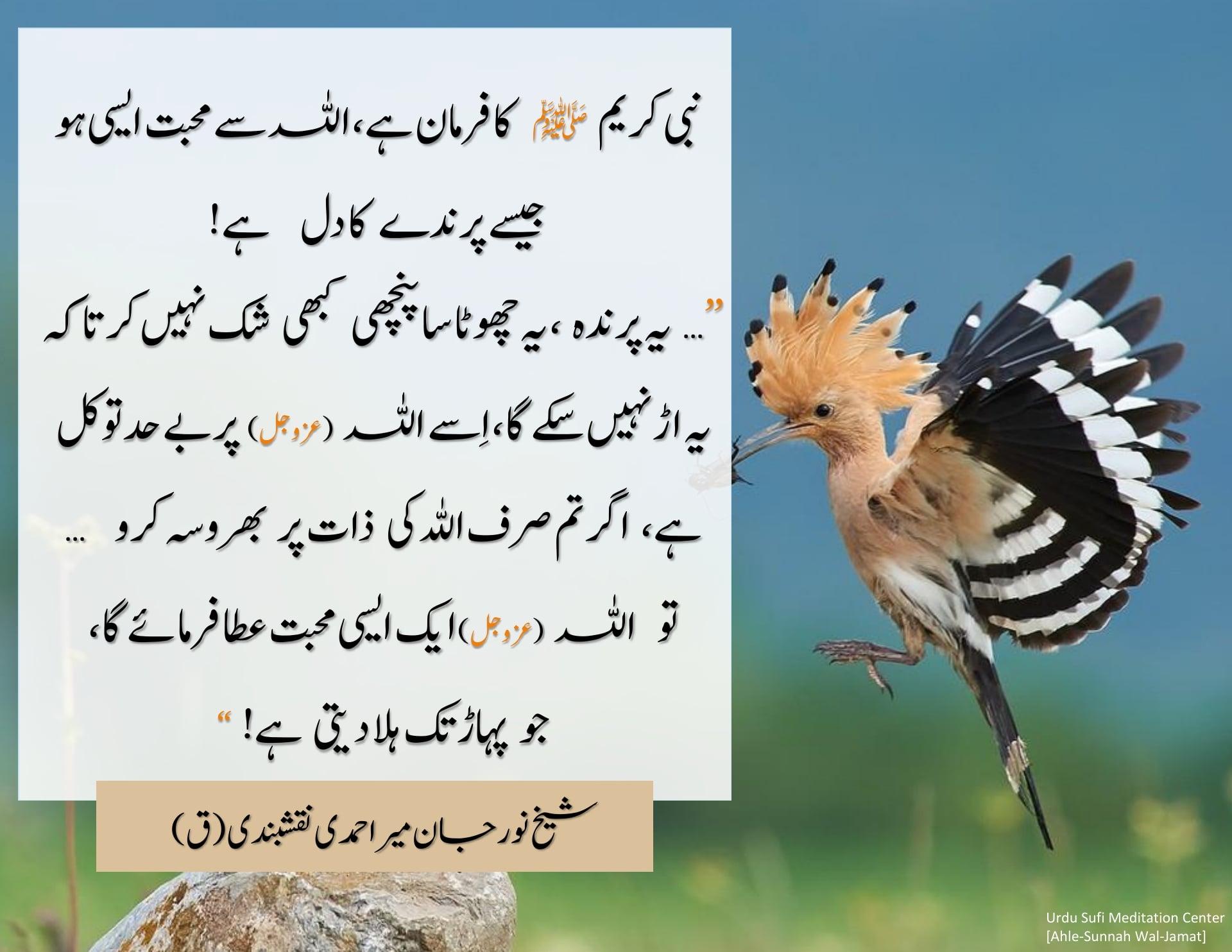 Tawakkul–
Make your Love like the Heart of the Bird
نبی کریم ﷺ نے صحابی سے ...
