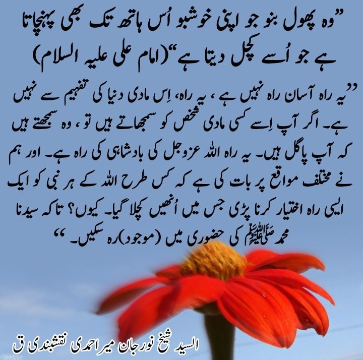 |اِس ہاتھ سے بھی پیار کرو جو آپ کو کچلتا ہے|
یہ اللہ (عزوجل) اور نبی کریمﷺ ، او...