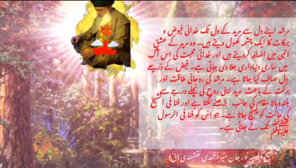 شیخ السیّد نورجان میراحمدی نقشبندی (ق) کی سنہری تعلیمات سے اقتباس بِسْمِ اللَّـ...