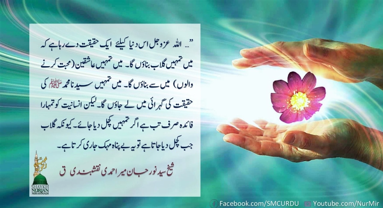 گُلاب کا عطر صرف تب حاصل ہوتا ہے، جب اسے کُچلا جاتا ہے
"پھر اللہ (عزوجل) ...