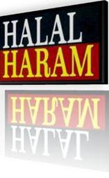 halal haram reflection