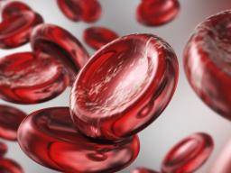 iron in blood cells