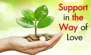 support in the way of love coins with plant charity zakah sadaqah